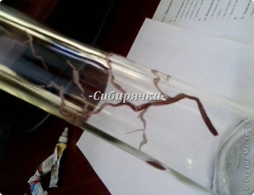  ����� ���������, ��������, ������-����� �������: ������� �� ������: ������ + �� ������� ����������, ������, ������ 8 �����, ���� ��������, ����� ���, �������. ���� 7