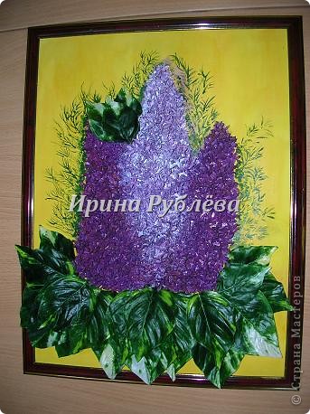 Картина, панно, рисунок, Мастер-класс Аппликация: Панно "Сирень". Мастер-класс. Материал природный, Шишки. Фото 7 Картина, панно, рисунок, Мастер-класс Аппликация: Панно "Сирень". Мастер-класс. Материал природный, Шишки. Фото 7