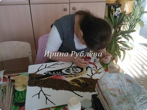 Мастер-класс Коллаж: "Дятел". Декоративное панно. Мастер-класс. Материал природный. Фото 9 Мастер-класс Коллаж: "Дятел". Декоративное панно. Мастер-класс. Материал природный. Фото 9