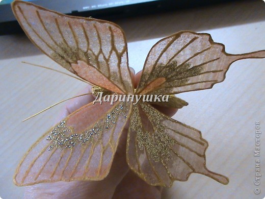  Мастер-класс: Мои бабочки + МК Ткань. Фото 2