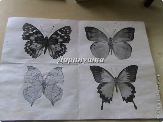  Мастер-класс: Мои бабочки + МК Ткань. Фото 5