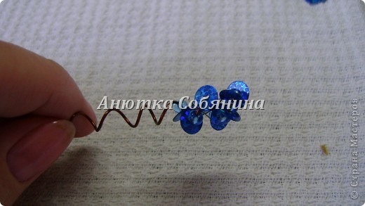  ������-�����, �������, �������: �������� �� ������ � ������� �����, �������, ���������. ���� 12