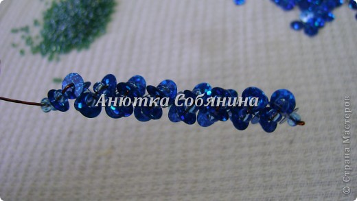  ������-�����, �������, �������: �������� �� ������ � ������� �����, �������, ���������. ���� 14