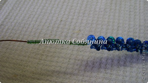  ������-�����, �������, �������: �������� �� ������ � ������� �����, �������, ���������. ���� 16