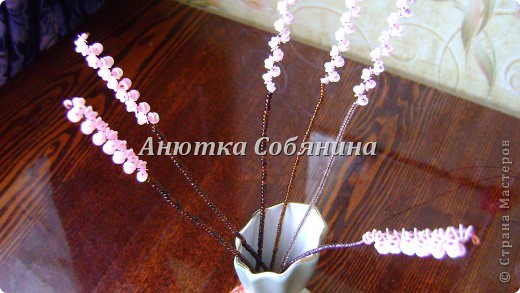  ������-�����, �������, �������: �������� �� ������ � ������� �����, �������, ���������. ���� 21