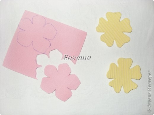  ������-�����: ����������� �������� �����, ����, ���������, ��������. ���� 3