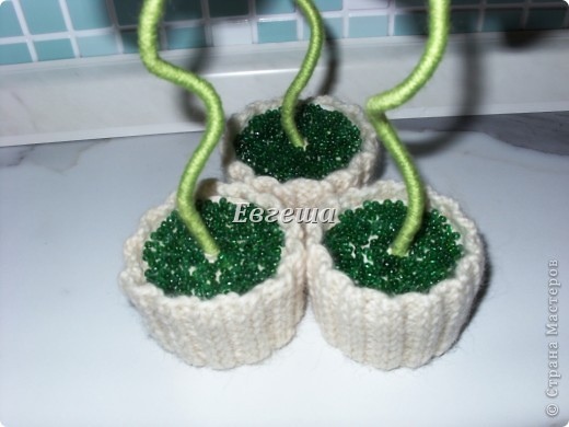  ������-�����: ����������� �������� �����, ����, ���������, ��������. ���� 17