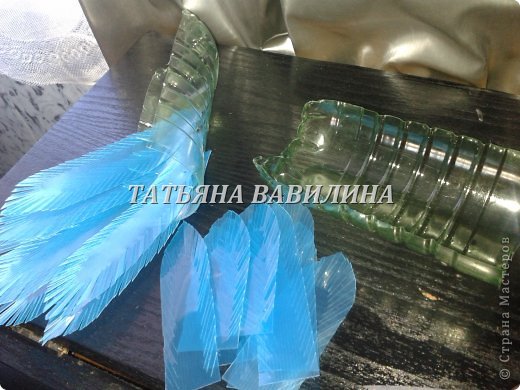  �������, ������-����� ���������, �������������: ����������-2 �� ������� �����������, �������� �������� �����. ���� 3