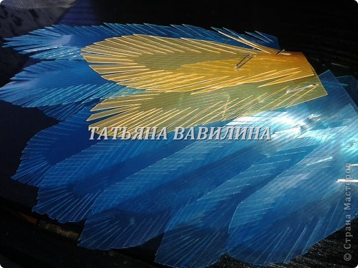  �������, ������-����� ���������, �������������: ����������-2 �� ������� �����������, �������� �������� �����. ���� 8