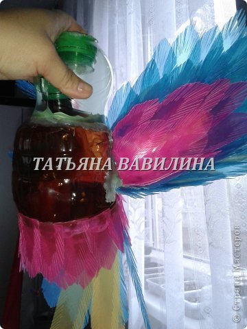  �������, ������-����� ���������, �������������: ����������-2 �� ������� �����������, �������� �������� �����. ���� 12