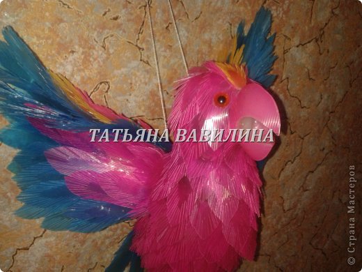  �������, ������-����� ���������, �������������: ����������-2 �� ������� �����������, �������� �������� �����. ���� 17