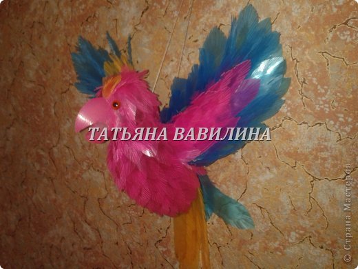  �������, ������-����� ���������, �������������: ����������-2 �� ������� �����������, �������� �������� �����. ���� 16