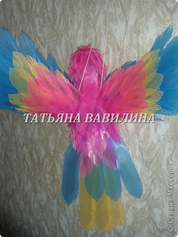  �������, ������-����� ���������, �������������: ����������-2 �� ������� �����������, �������� �������� �����. ���� 15