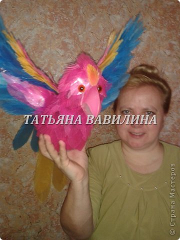  �������, ������-����� ���������, �������������: ����������-2 �� ������� �����������, �������� �������� �����. ���� 20