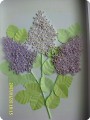 Квиллинг: сирень