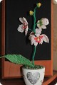 бисероплетение схемы цветы орхидея.