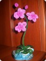 орхидеи из бисера мк - Мода.