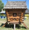 Светлана Куралова
