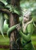 Lakora
