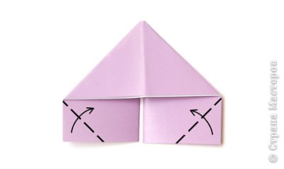 Треугольный модуль оригами и поделки с его помощью. PICT2308