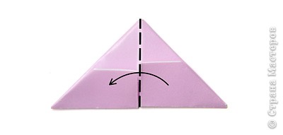 Треугольный модуль оригами и поделки с его помощью. PICT2310
