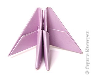 Треугольный модуль оригами и поделки с его помощью. PICT2319
