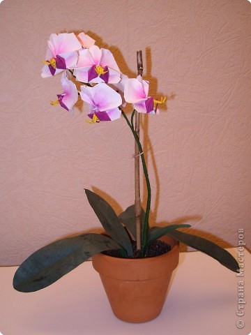 Мастер-класс Оригами Орхидея МК Бумага фото 1