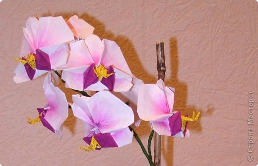 Мастер-класс Оригами Орхидея МК Бумага фото 80