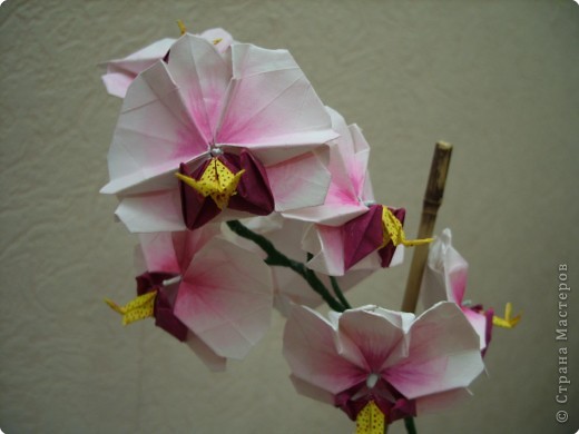 Мастер-класс Оригами Орхидея МК Бумага фото 81
