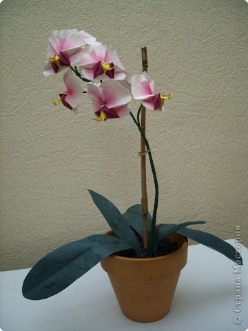 Мастер-класс Оригами Орхидея МК Бумага фото 82
