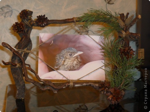 ���� �������� ������� ��� ������� ����� �������� ���������