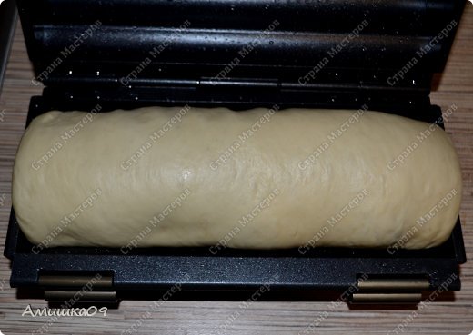 ��������� ������-����� ���� �������� ����� ��� ��������� ������ ���������� ��������� ���� ���� � ������� �������� ������� ���� 19