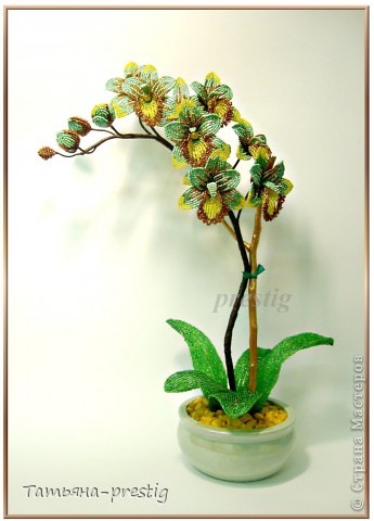 Бисероплетение - Орхидея Фаленопсис h44см из бисера.