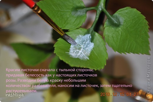 ������-����� ����� �� �� ����� ���� �����5-�������� ������ �������� ���� 2