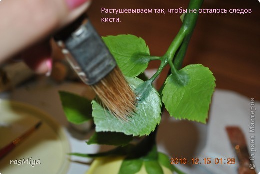 ������-����� ����� �� �� ����� ���� �����5-�������� ������ �������� ���� 3