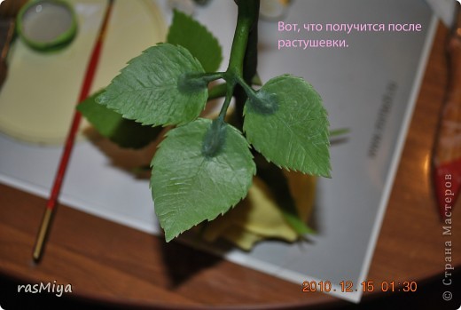 ������-����� ����� �� �� ����� ���� �����5-�������� ������ �������� ���� 4