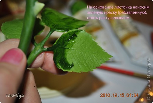 ������-����� ����� �� �� ����� ���� �����5-�������� ������ �������� ���� 5