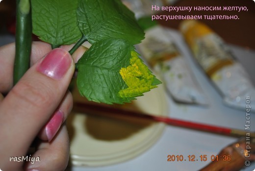 ������-����� ����� �� �� ����� ���� �����5-�������� ������ �������� ���� 6