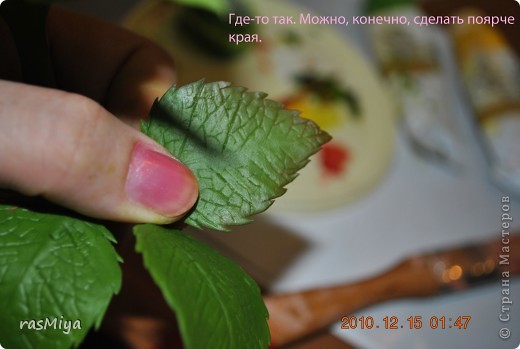 ������-����� ����� �� �� ����� ���� �����5-�������� ������ �������� ���� 8