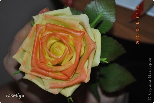 ������-����� ����� �� �� ����� ���� �����5-�������� ������ �������� ���� 10