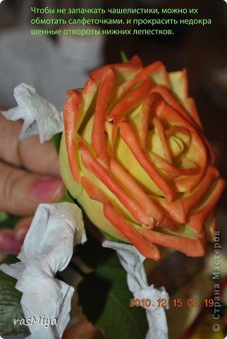 ������-����� ����� �� �� ����� ���� �����5-�������� ������ �������� ���� 11