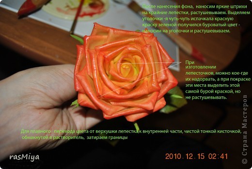 ������-����� ����� �� �� ����� ���� �����5-�������� ������ �������� ���� 12