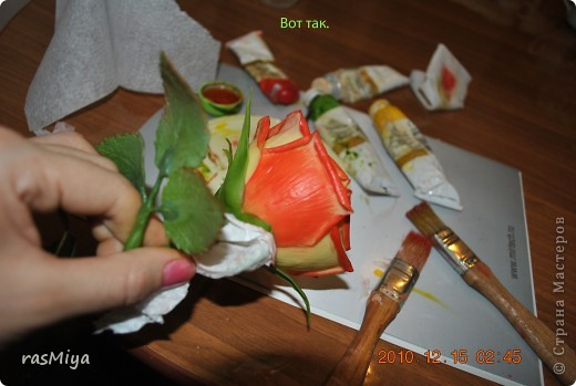 ������-����� ����� �� �� ����� ���� �����5-�������� ������ �������� ���� 14