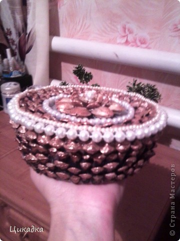 ������� ������� �������� ������ ��� ���� ���� 1