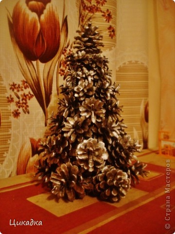 ������� ������� ������ ����� ���� 1