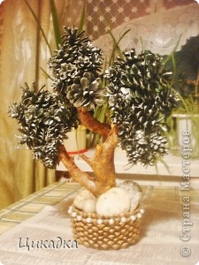 ������� ������� ������������� ��������������� � ��� ����� ������� ������� �����