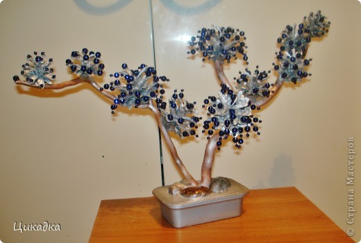 ������� ������� �������� ���������� ������� ����� ���� 1