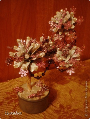 ������� ������� ������������ ������� ����� ���� 5