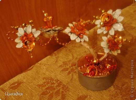 ������� ������� ������������ ������� ����� ���� 1