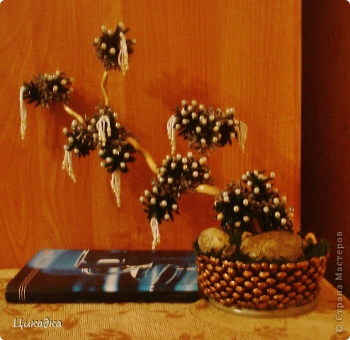 ������� ������� �������� ���������� ������� ����� ���� 6